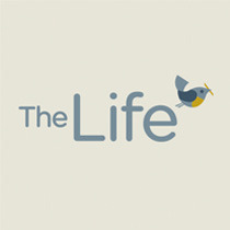 [Brand design] The Life SNS